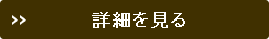 詳細を見る