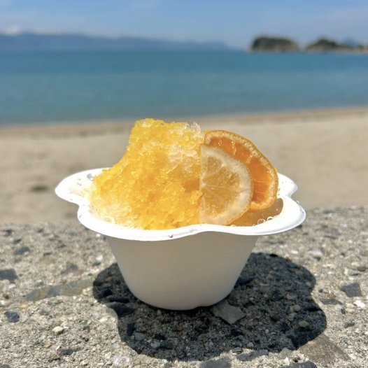 せとぽんかき氷